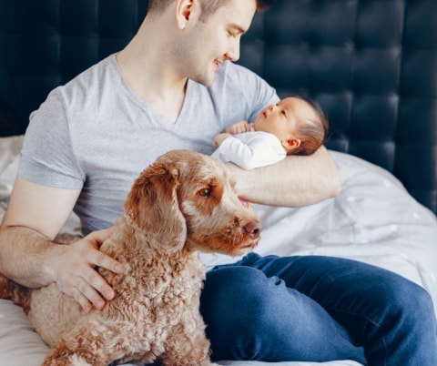 Comment Presenter Un Bebe A Un Chien Pawshake Blog