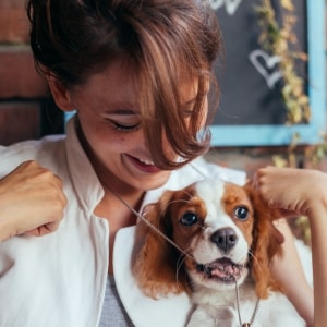 free dog sitters