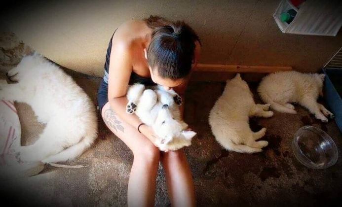 Jessie à Howald back image