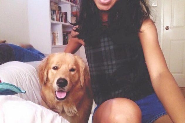 Dog Boarding House Singapore Dog Boarding House Singapore