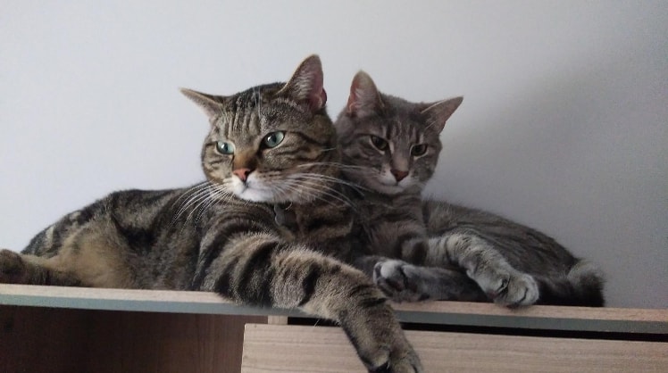 Juliane et Mike in Crauthem back image