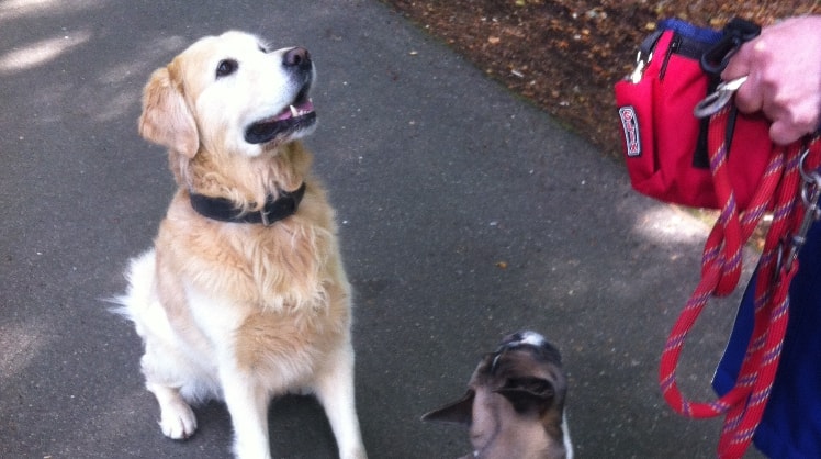 laura à Redange attert back image