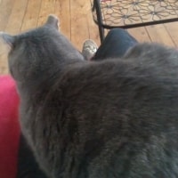 Max Max