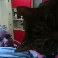 Hetty Hetty
