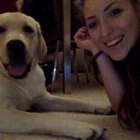 Otis Otis