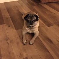 Jack Jack