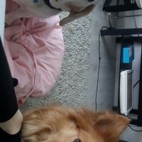 Roxy Roxy