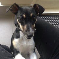 Winston Winston