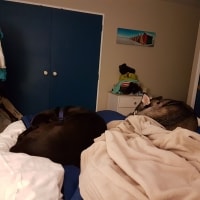 Jaxx, Echo Jaxx, Echo