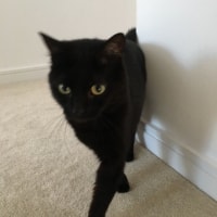 Tilly Tilly