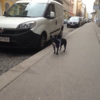 Toulouse Toulouse
