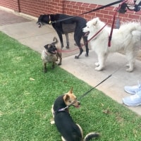 Baxter, Watson Baxter, Watson