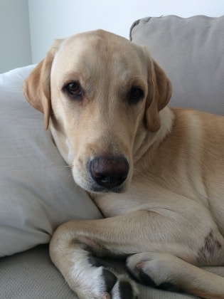 Insurance jobs calgary Insurance jobs calgary